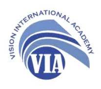 VI ACADEMY logo
