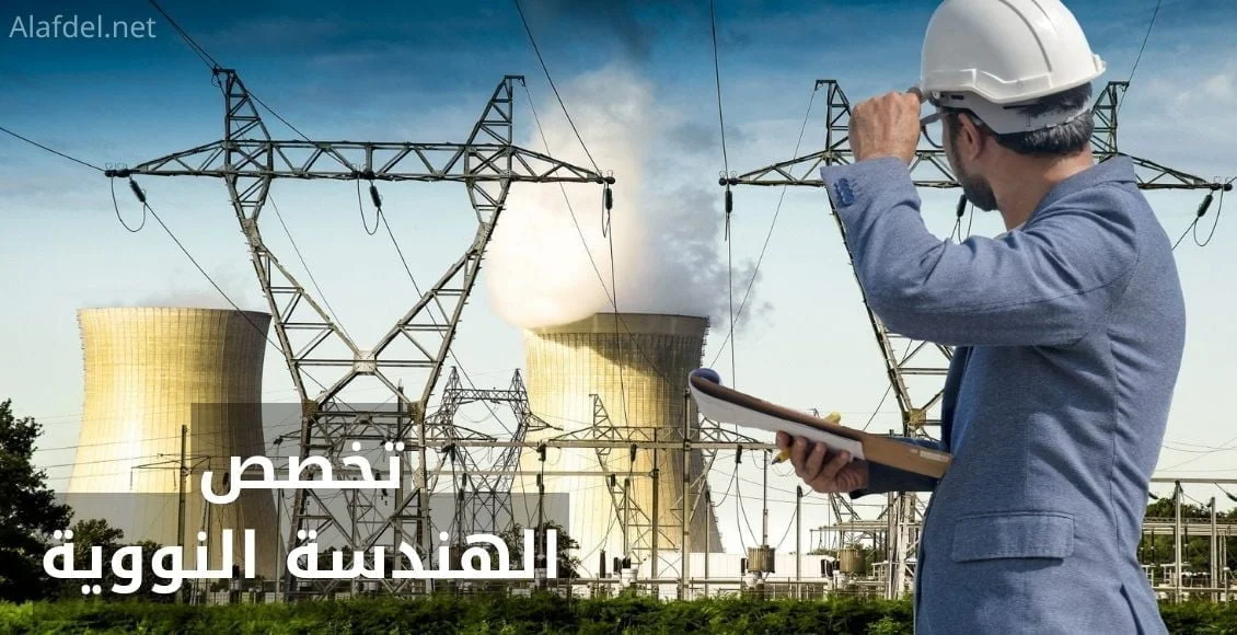 تقنية المعلومات في الهندسة النووية