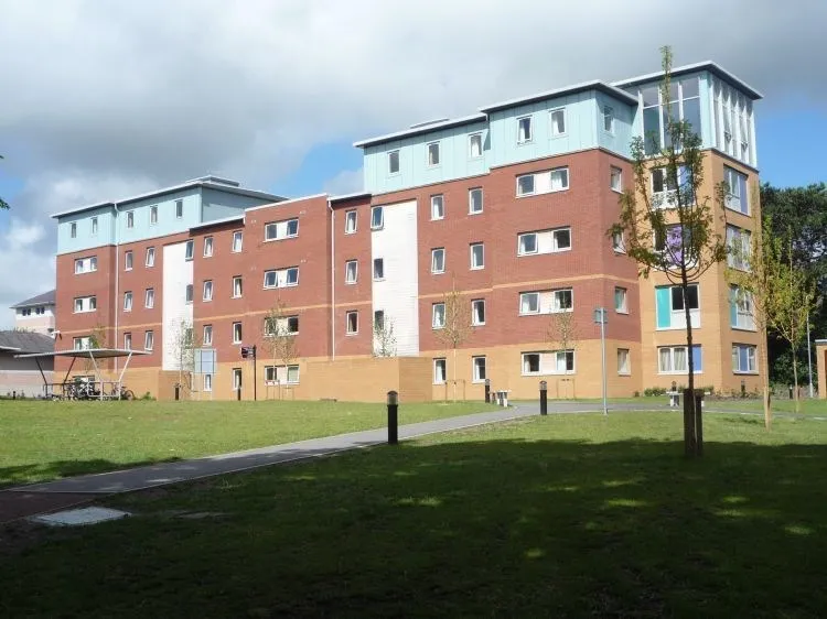 جامعة بانجور