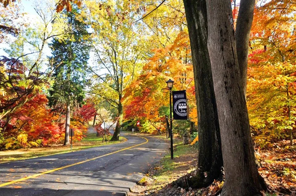 جامعة فيرلي ديكنسون (كندا)