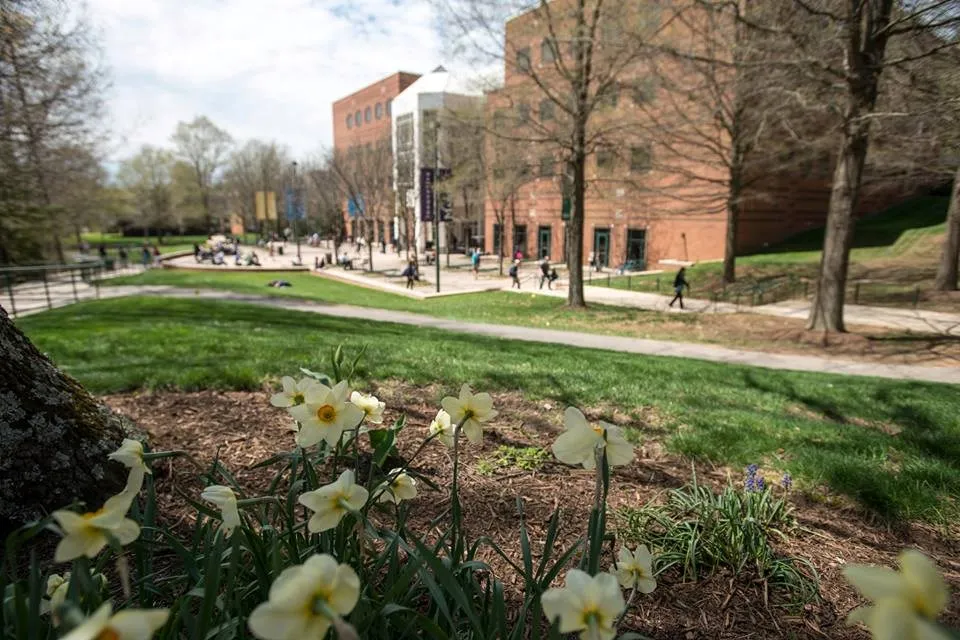 جامعة جورج ميسون