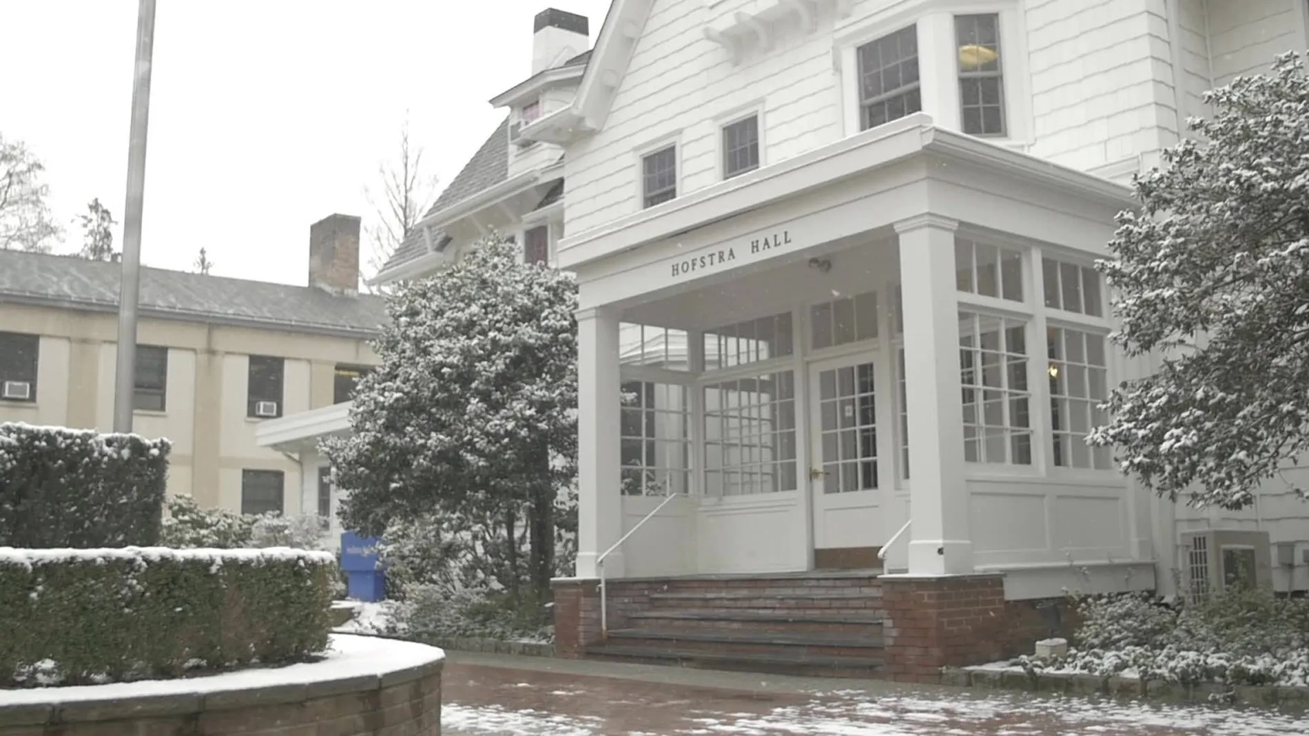 جامعة هوفسترا