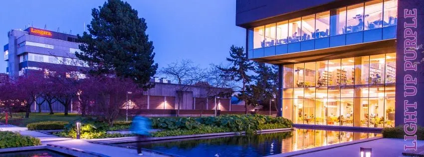 كلية لانجارا