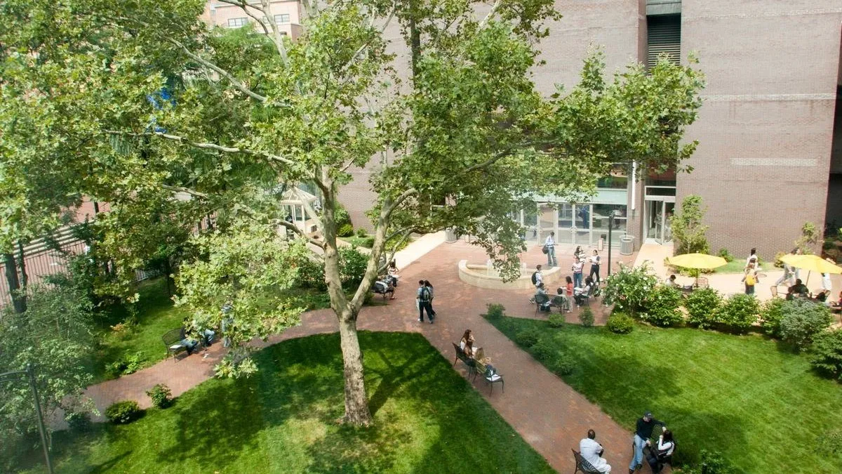 جامعة لونج أيلاند