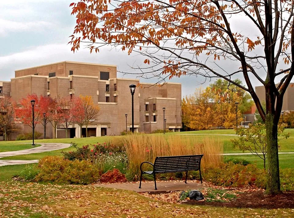 جامعة شمال شرق إلينوي