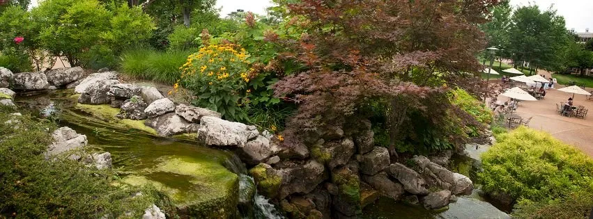 جامعة سانت لويس