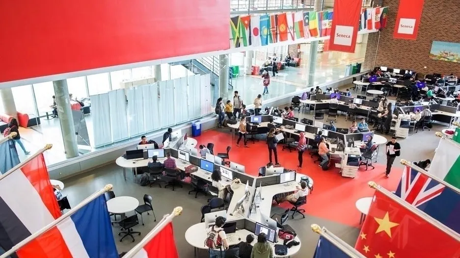 كلية سينيكا