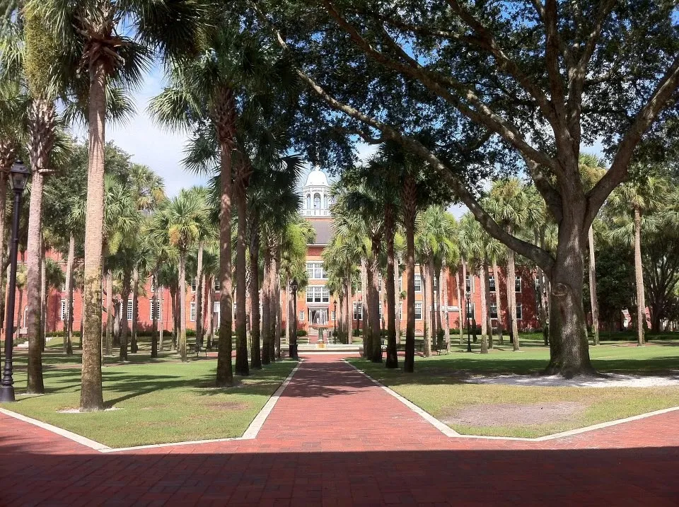 جامعة ستيتسون