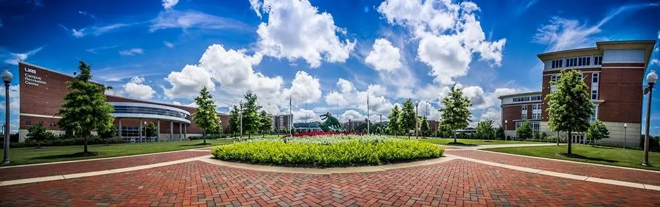 جامعة ألاباما في برمنجهام