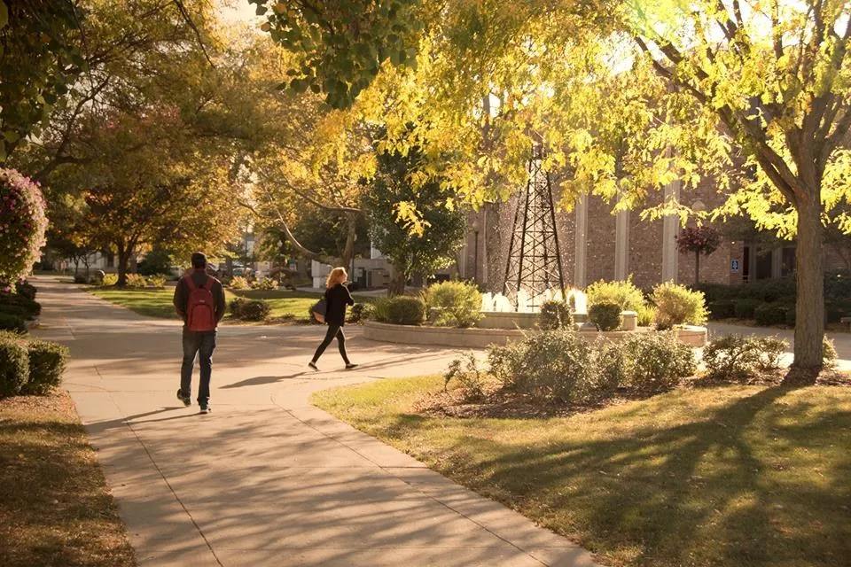 جامعة فندلي