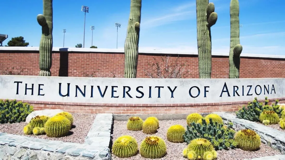 جامعة أريزونا