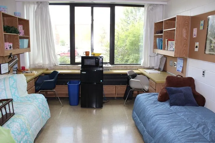 جامعة ايداهو