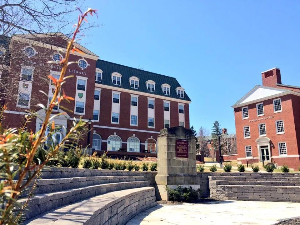 جامعة نيو برونزويك