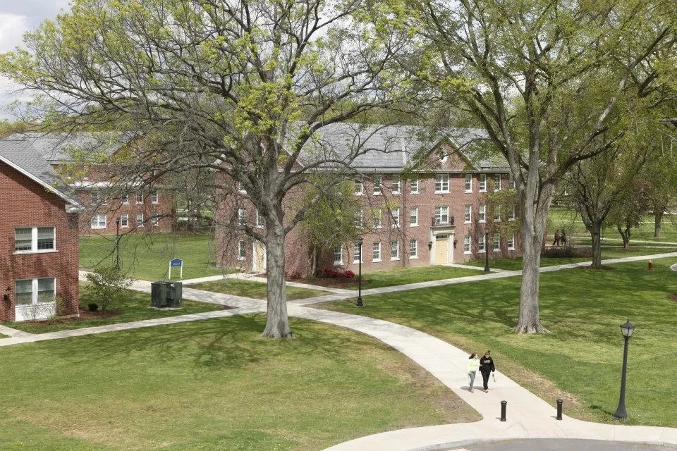 جامعة ساينت جوزيف