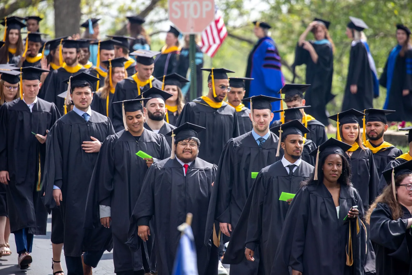 جامعة سانت ماري