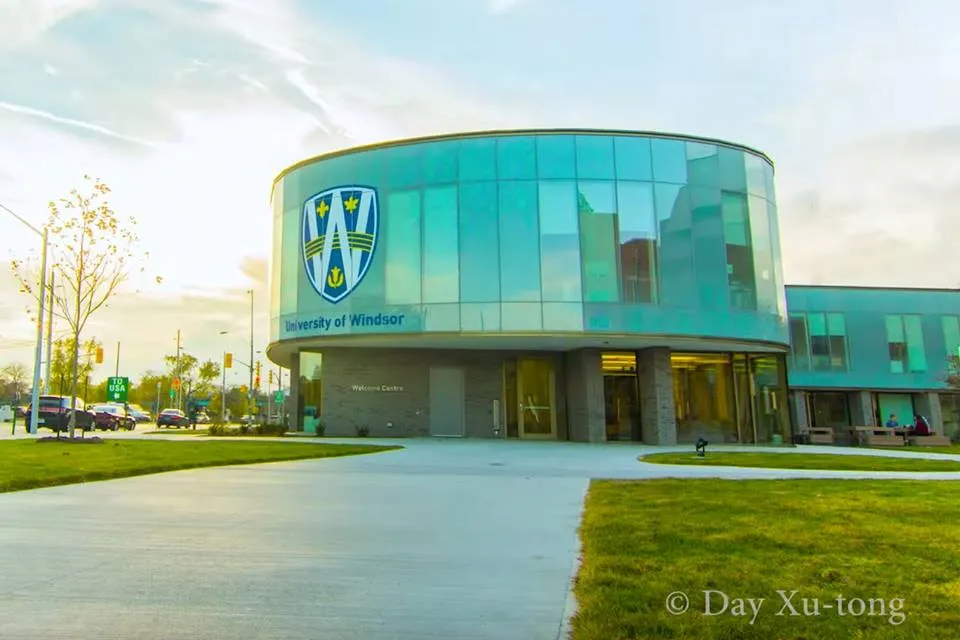 جامعة وندسور