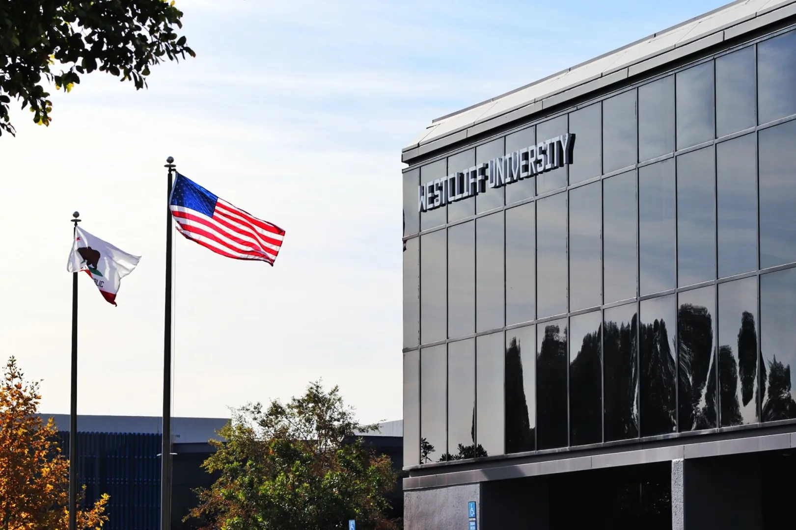 جامعة ويستكليف
